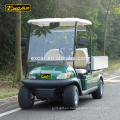Custom 2 Seater coche eléctrico carro de golf eléctrico hotel utilitario buggy auto housekeeping coche